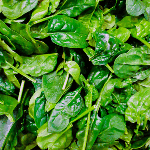 Spinach: Matador