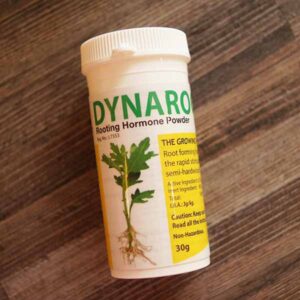 Dynaroot rooting powder