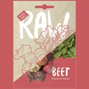 Beet: Rainbow Blend