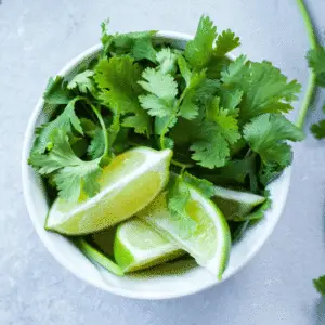 Coriander