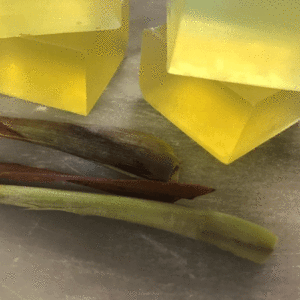 Lemongrass and Citronella Soap
