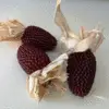 Corn: Strawberry Popcorn - Image 2