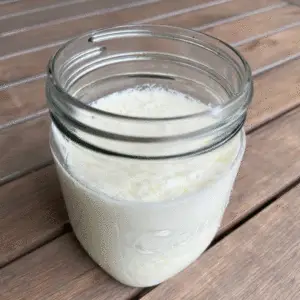 Milk Kefir Grains