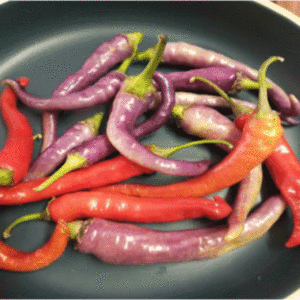 Chilli pepper: Buena Mulata