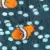 Clownfish