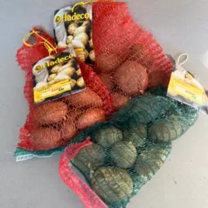 Seed potatoes