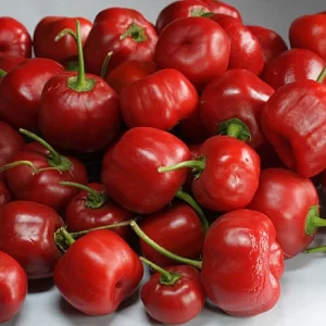 Chilli pepper: Hot Apple