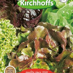 Lettuce: Salad Mixed