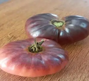 Tomato: Mar Azul