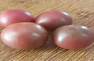 Tomato: Chocolate Cherry