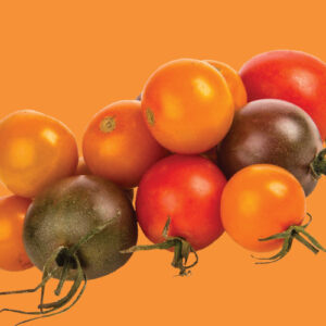 Tomato: Rainbow Cherry Mix