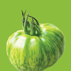 Tomato: Green Zebra