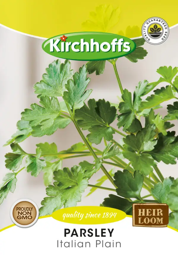 Flat-leaf (Italian plain) parsley